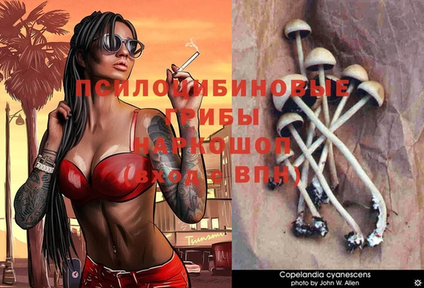 ПСИЛОЦИБИНОВЫЕ ГРИБЫ Майский