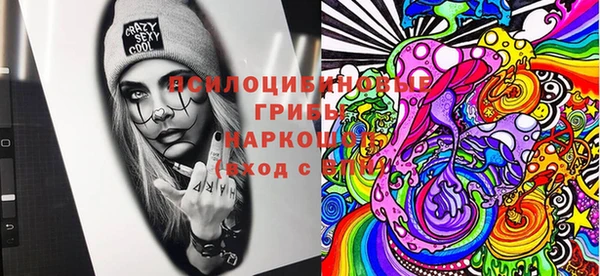 ПСИЛОЦИБИНОВЫЕ ГРИБЫ Майский