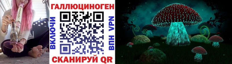Купить где  Салехард  Псилоцибиновые грибы GOLDEN TEACHER 